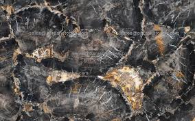 The land is all federal within the blue forest area administered by the. Black Petrified Wood Slab Surface Manufacturer Black Colour Petrified Wood