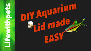 How To Make A Diy Aquarium Lid Diy Aquarium Aquarium How To Make