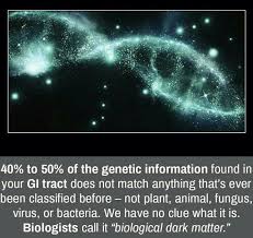 Dark matter may be one of the most unsettling concepts that modern physics has brought us: Biological Dark Matter Genetic Information Dark Matter Fungi