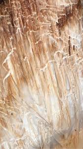 If there is no color change, you can safely launder the item with bleach. Is It Safe To Bleach Your Hair With Clorox Quora
