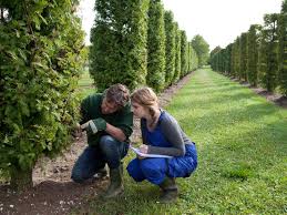 The ability to exert muscle force repeatedly or continuously over time. How To Become A Landscape Designer
