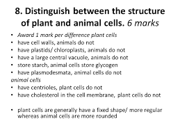 Therefore their cell membrane which is like a mere sheet. Cells Topic 2 Past Exam Paper Questions Standard Level Ppt Download