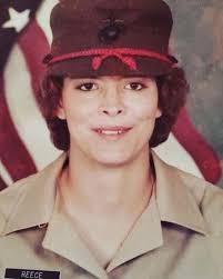 Ridge View Labradors Training Dogs