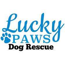 We did not find results for: Lucky Paws Dog Rescue Inc Petrescue