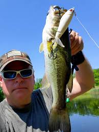 Caught 14 bass using whopper plopper and wacky rig