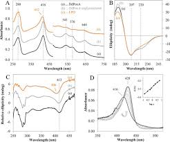 Here are five things to consider when looking for a safe vapor pen. Secreted Heme Peroxidase From Dictyostelium Discoideum Insights Into Catalysis Structure And Biological Role Journal Of Biological Chemistry