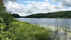 Après une petite poignée de singles bien sentis future of the left publie son premier album chez too pure et même si j'ai tendance à trouver que les petits formats conviennent mieux au groupe, curses peut sporadiquement faire diablement du bien par où il passe : Randonnee Sur Un Sentier Meconnu Du Parc De La Gatineau Commission De La Capitale Nationale