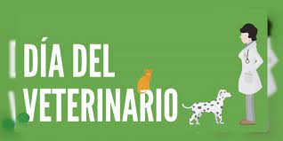 Dia del medico veterinario en mexico. Dia Del Medico Veterinario Noventa Grados Noticias De Mexico Y El Mundo