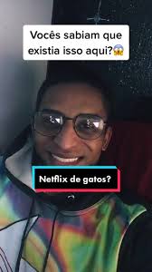 Nexflix de gato? Kkk #fy #foryou #viral #gato #cat #netflix #netflixbrasil  #netflixseries #netflixfilmes