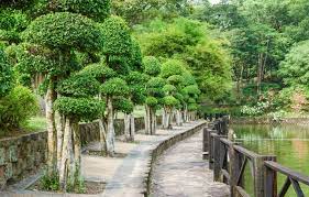 During this period travelers can expect to fly about 6,748 miles, or 10,860 kilometers. Flights From Brussels Bru To Kuala Lumpur Kul Etihad Airways