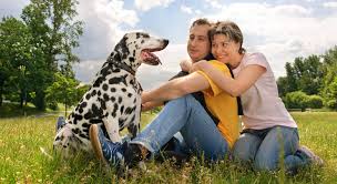 Park grove pet hospital has been providing veterinary service to cottage grove and the surrounding community for over 40 years! Cottage Grove Animal Hospital