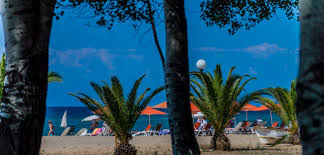 We did not find results for: Paralia Nea Plagia Halkidiki