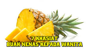Ia hanya menyerupai buah nenas. Maria Firdz Lifestyle Blogger