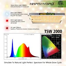 We did not find results for: Tsw 2000 Marshydrode