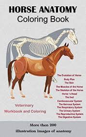 Merely said, the the nervous system anatomy and physiology coloring workbook answers is universally compatible similar to any devices to read. Horse Anatomy Coloring Book For Equine Vet Anatomy Students Veterinary Physiology Workbook Magnificent Learning Structure For Veterinary Anatomy Students To Help You Make Your Studies Devito Felicity Catherine Amazon Com