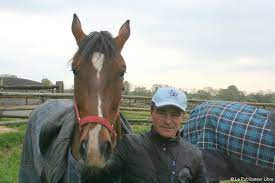 Suivez l'actualité du célèbre professionnel du trot au travers sa page facebook. Pays Fertois Le Driver De Ready Cash Pose Ses Valises Dans L Orne Le Publicateur Libre