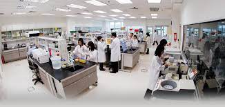 National reference laboratory is a leader in the uae of the provision of laboratory outsourcing services. Genting Plantations Berhad