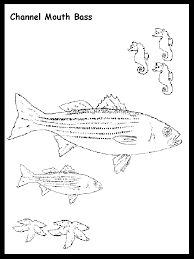 Smallmouth fish pages best place to color. Largemouth Bass Coloring Page Coloring Home