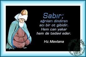 Sabir Agrilari Dindiren Aci Bir Ot Gibidir Hem Can Yakar Hem De Tedavi Eder Hz Mevlana Sabir Otlar Dualar