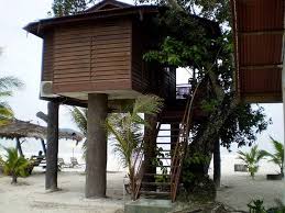 Bila tengok kat pokok tu, ada dua akar berayun laju. Chalet Atas Pokok Di Malibest Resort Jelajah Maya