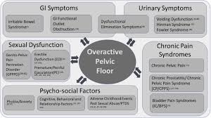 The legend continues (kung fu tv show) tlc: The Overactive Pelvic Floor Opf And Sexual Dysfunction Part 1 Pathophysiology Of Opf And Its Impact On The Sexual Response Sexual Medicine Reviews