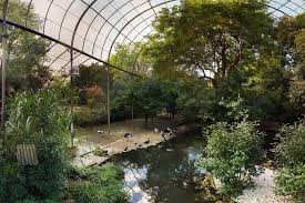 Menagerie The Zoo Of The Jardin Des Plantes Museum National D Histoire Naturelle