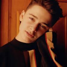 Noah Schnapp