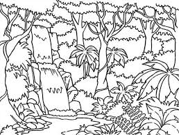 Rainforest Mural Jungle Coloring Pages Enchanted Forest Coloring Book Enchanted Forest Coloring