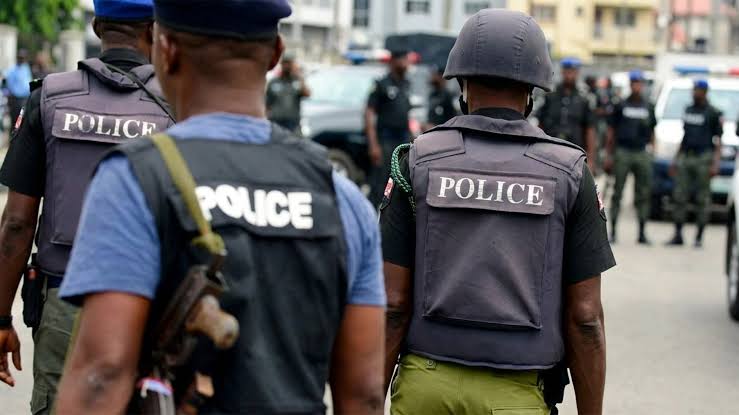 WE GO DELIVER STATE POLICE BY DI END OF DI YEAR - SENATE. Senate don tok  say dem go complete di amendment of di 1999 Constitution to allow creation  of state police