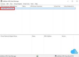 Image result for softether vpn server GUI