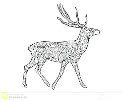 Baby Deer Coloring Sheets Deer Coloring Page John Coloring Page Deer Coloring Pages Baby Deer Colori Deer Coloring Pages Baby Coloring Pages Realistic Reindeer