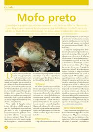 Seguindo a anatomia, chega até onde. Pdf Controle Do Mofo Preto Em Cebola