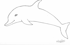 Wise Dolphin Drawings Ausmalbilder Zum Ausdrucken Kostenlos Zeichnungen Ausmalen