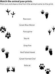 Animal Tracks Match Up Animal Tracks Animal Footprints Animals