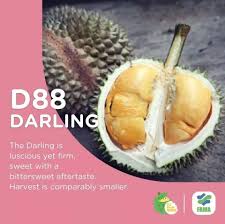 Seperti yang anda tahu, isi durian barangkali sendikit senarai ini hanya seberapa jenis antara banyak durian yang terdapat di malaysia. Ada 200 Jenis Durian Di Malaysia Durian Mana Yang Dah Pernah Rasa Libur