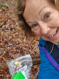 Any tips for finding mushrooms in the forest?