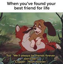 Then god said that's not funny, to which the jew replied oh, i guess you had to be there. 19 Jokes That Were Probably Made For Only You And Your Best Friend