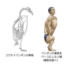 Japanese Illustrator Shows How Humans Would Look If We Had Various Animals Bone Structures 14 Pics Bored Panda Look at links below to get more options for getting and using clip art. japanese illustrator shows how humans