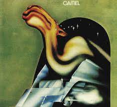 Camel Amazon De Musik