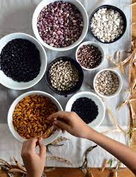 Maybe you would like to learn more about one of these? How To Grow Harvest And Store Dried Beans The Seasonal Homestead