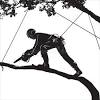 Matt ostrowski is the owner of tree medicine tree service in denver colorado. 1