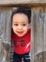 Natural Science Museum Exhibits