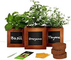 Amazon.com : Indoor Herb Garden Kit - Includes 3 Wooden Herb Pots, Internal drip Trays, Soil Pellets, Chalk, Instructions Booklet and Basil, Oregano & Thyme Non GMO Herb Seeds. DIY Kitchen Herbs