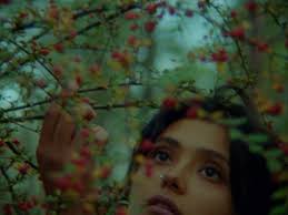 S U S A N N E S T E I N M A S S L