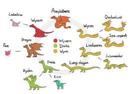 Diagram Of Mythical Reptile Evolution Biological Classification Made By A Goblin On Twitter Worldbuildin Types Of Dragons Mythical Creatures Dragon Drawing
