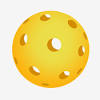 Powering pickleball tournaments around the world. 1