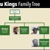 He was the son of langa kaxaba, a nxumalo king. 1