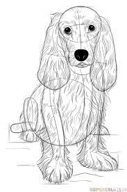 How To Draw A Cocker Spaniel | Step By Step Drawing Tutorials
