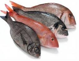 Come Dimagrire Mangiando Pesce Magro La Maggior Parte Dei Pesci Sono Ottimi Da Mangiare Quando Si Segue Una Dieta Perche Hanno U Olio Di Pesce Pesce Dietista