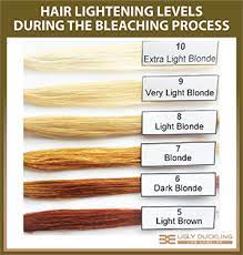 It can even go to 12 levels, depending on your preference to go lighter. How To Bleach Hair Without Damage Ugly Duckling